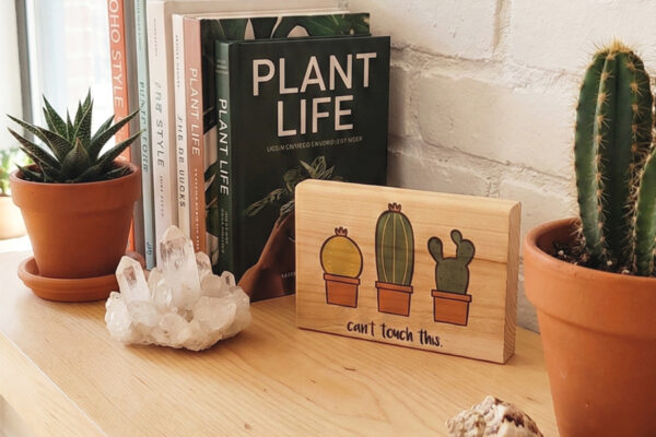 Can't Touch This Cactus