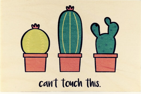 Can't Touch This Cactus