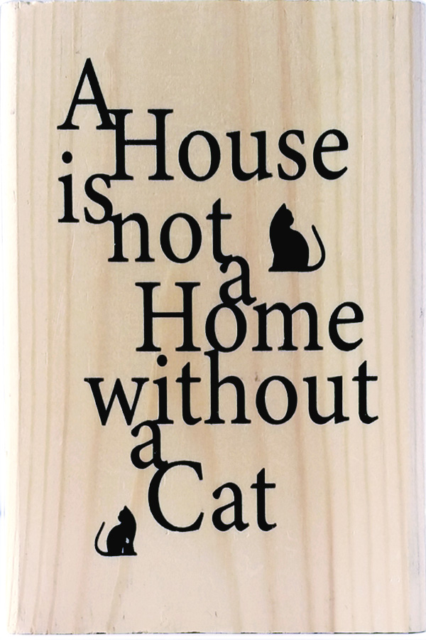 Whithout a Cat