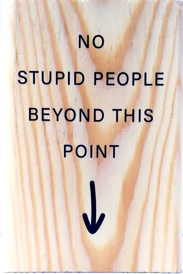 No Stupid People