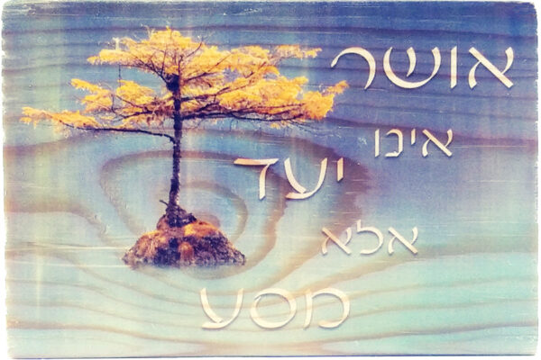 אושר אינו יעד