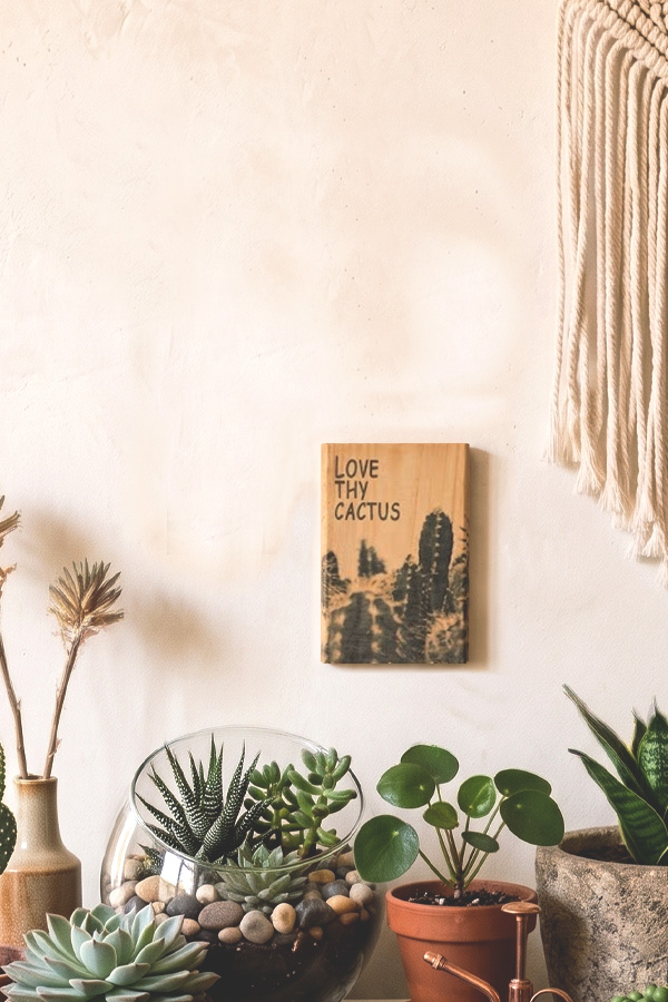 Love Thy Cactus