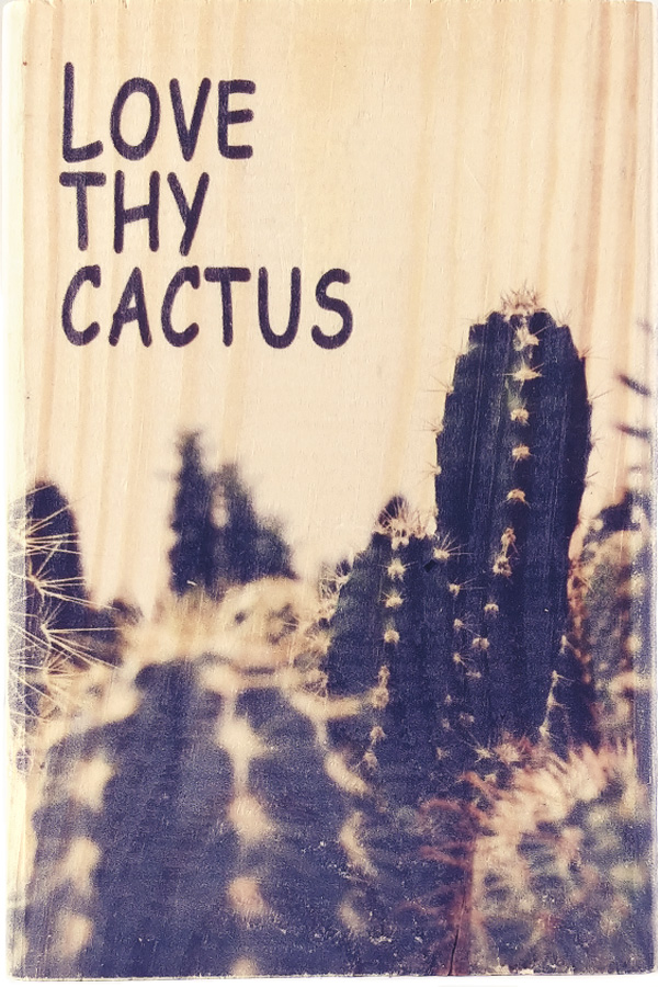 Love Thy Cactus