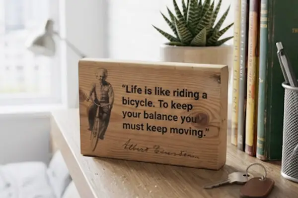 Bicycle Einstein