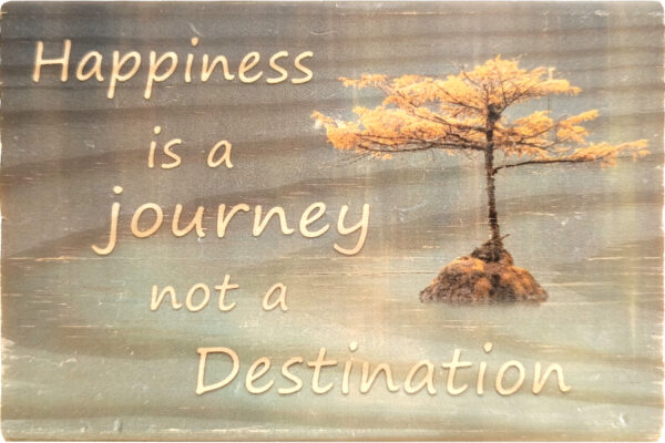 Happiness