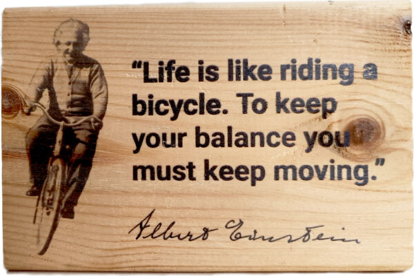 Bicycle Einstein