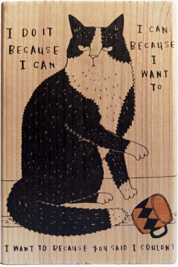 Rude Cat